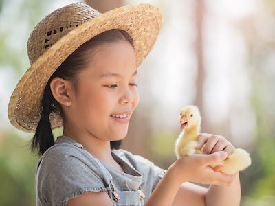 Young girl holding baby duck