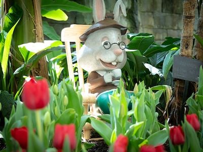 Easter Bunny in atrium gardens at Gaylord Palms
