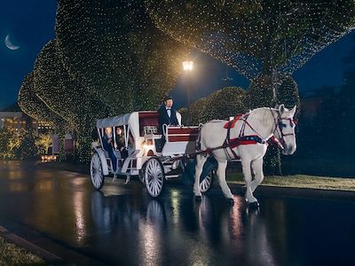 Horse drawn carriage in lights