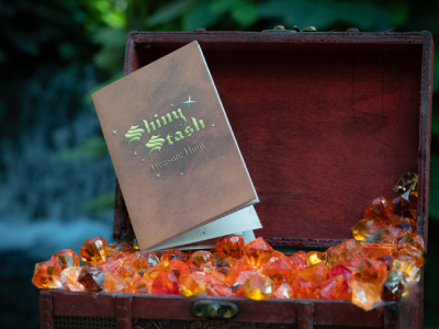 Shiny Stash Scavenger Hunt