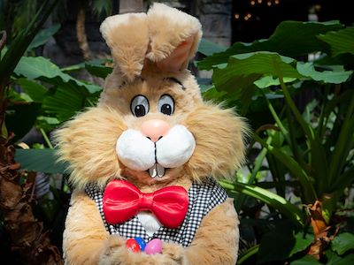 Easter Bunny standing in front of foliage in gardens at Gaylord Texan