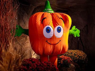 Spookley the Square Pumpkin Meet & Greet