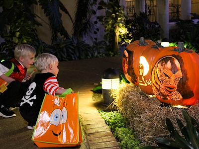 Trick-or-Treat Expedition