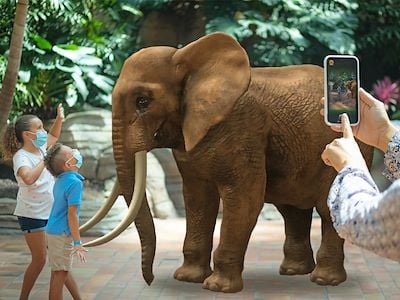 Two young kids in masks in front of virtual elephant while adult take picture on phone