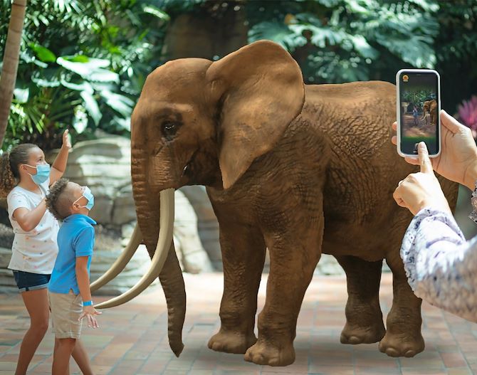 Two kids in masks in front of virtual elephant while adult take picture on a phone