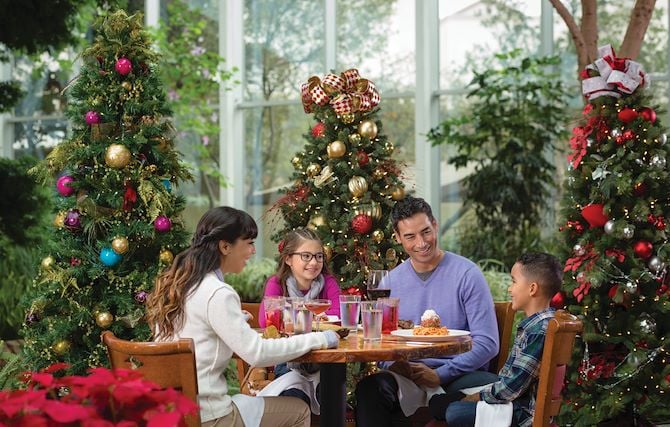 Family at dining table with Christmas tree behind them