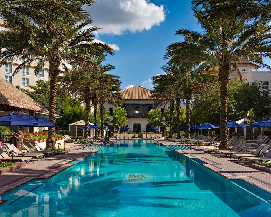 South Beach Pool lined with Palm trees - Gaylord Palms Resort