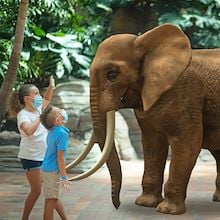 Two kids in masks in front of virtual elephant