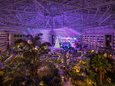 St. Augustine Atrium gardens and light show at Gaylord Palms