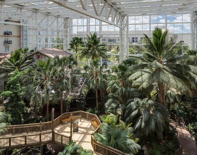 Atrium View 