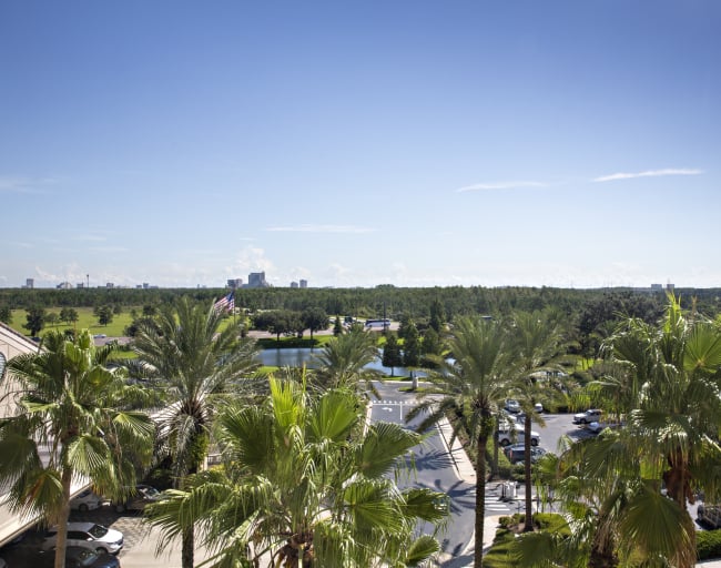 Florida Views