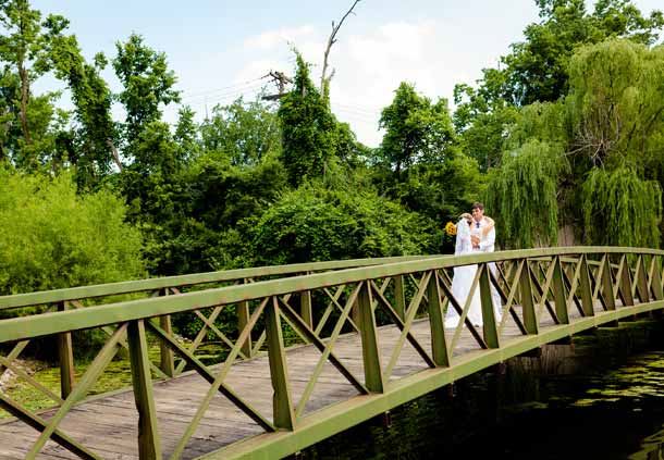 Wedding Bridge