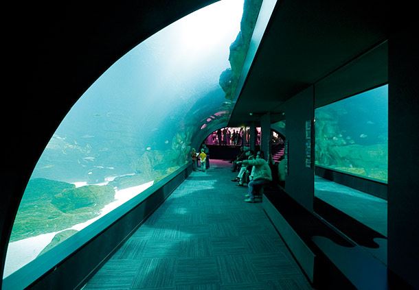 Paris Aquarium 
