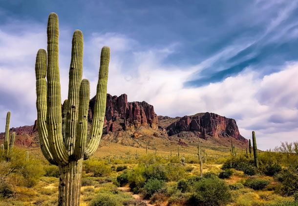 Arizona Landscape Destination