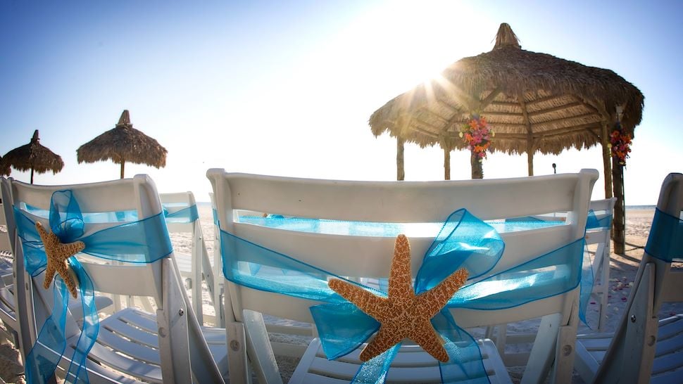 Starfish Wedding Chairs