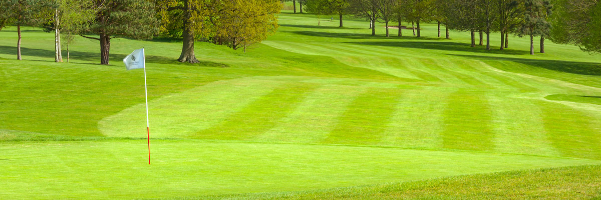 Tudor Park Country Club - 16th Hole