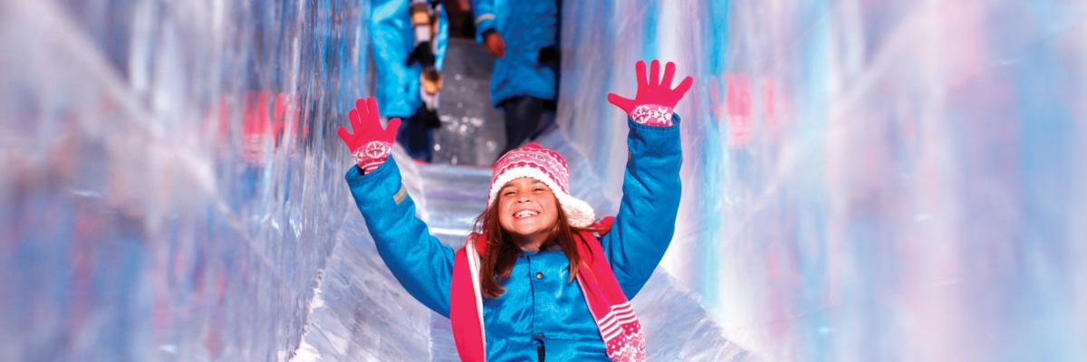 National Harbor Ice Sculptures Lord Resort
